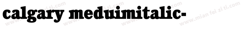calgary meduimitalic字体转换